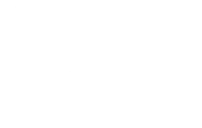 Whale left